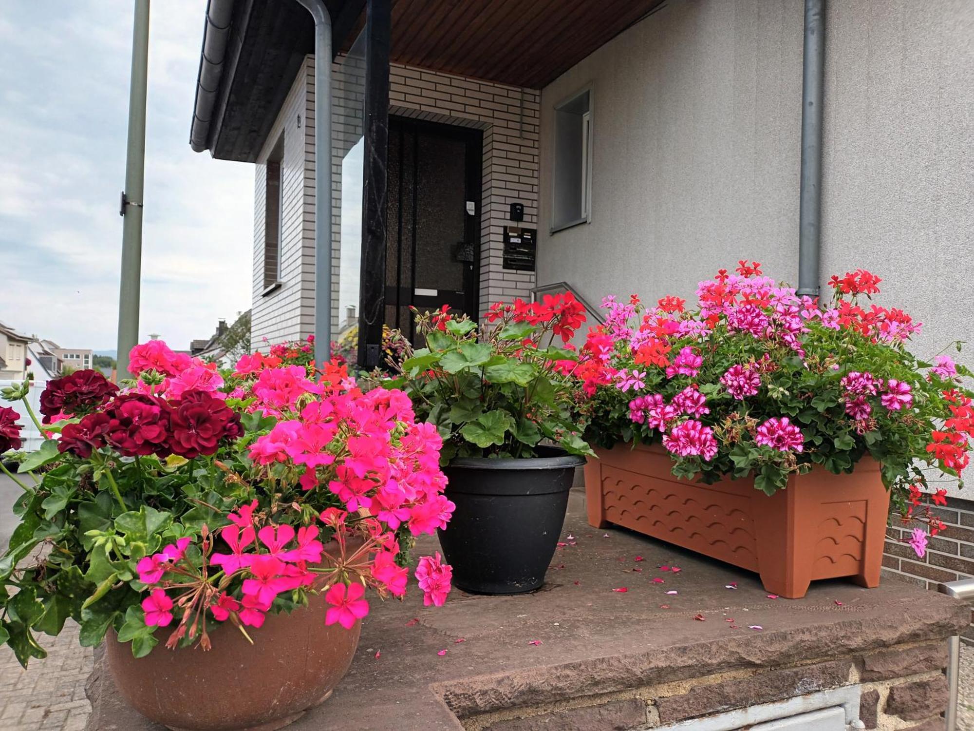 Ferienwohnung Kassel Esterno foto